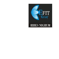 ND Ribes Nigrum Ef 30 ml