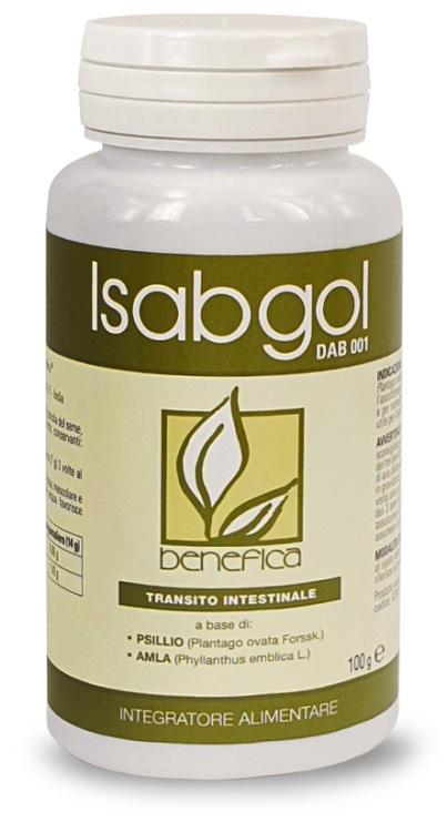 ND Dab 001 Isabgol 100 g