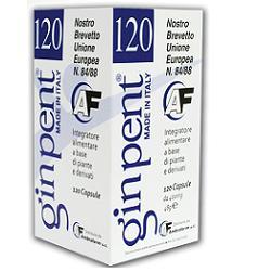ND Ginpent 120 capsule 400 mg