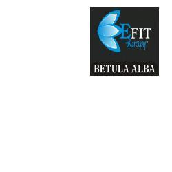 ND Betula Alba Ef 30 ml