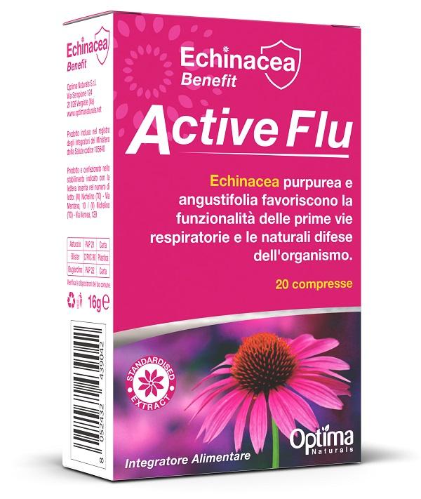 ND Echinacea Active Flu 20 compresse