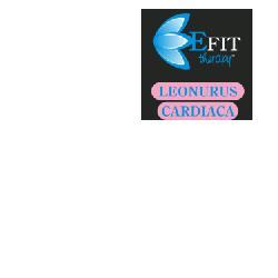 ND Leonurus Cardiaca Ef 30 ml