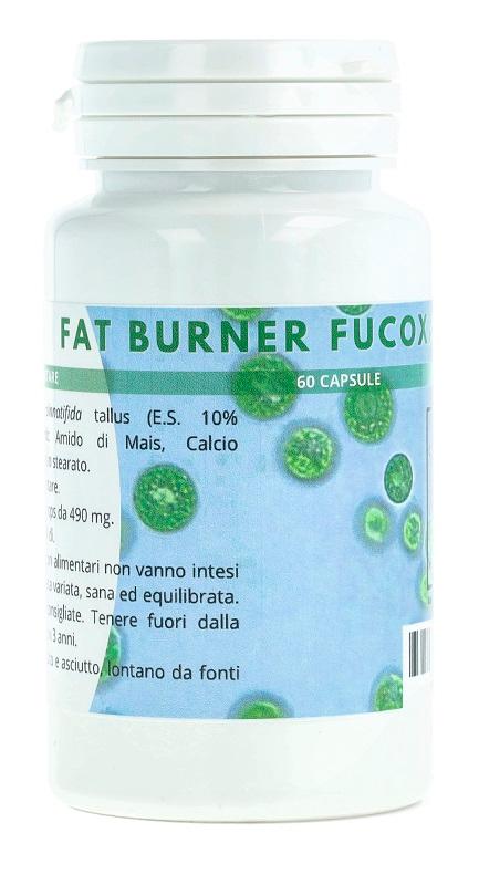 ND Fat Burner Fucoxantine 60 capsule