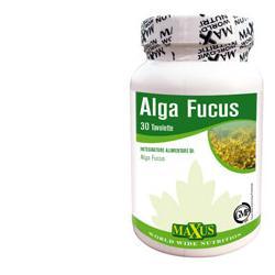 ND Alga Fucus 30 capsule