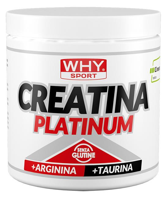 ND Whysport Creatina PLATINUM300G