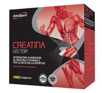 ND Creatina VECT20BUST Etichsport