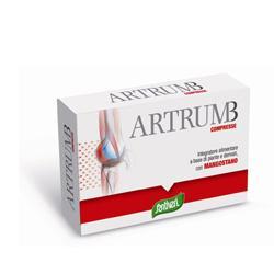 ND Artrum B C/mangost 48 compresse 31 g