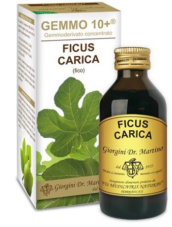 ND Fico 100 ml Liq Analco GEMMO10+