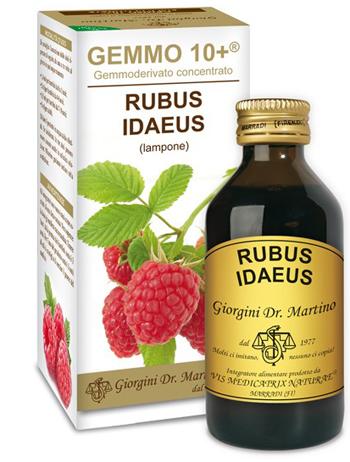ND Lampone Liq An Gemmo 10+ 100 ml