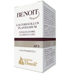 013B BENOIT LACTOBACILLUS PLAN30CPS