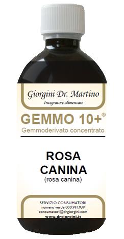 2888 ROSA CANINA LIQ ANALCO GEMM10+