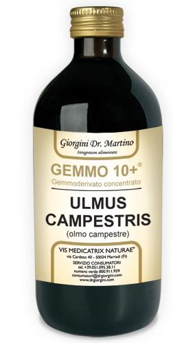 ND Olmo Camp 500 ml Analco GEMM10+