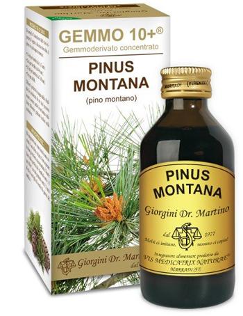 ND Pino Mont 100 ml Analco GEMM10+