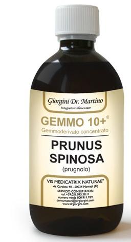 ND Prugnolo 500 ml Analco GEMMO10+