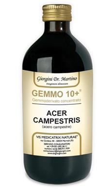 ND Acero Camp 500 ml Analco GEM10+