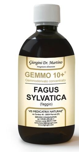 ND Faggio 500 ml Analco Gemmo 10+