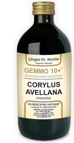 ND Nocciolo 500 ml Analco Gem 10+