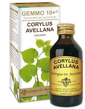 ND Nocciolo 100 ml Analco Gem 10+