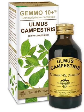 ND Olmo Camp 100 ml Analco GEMM10+