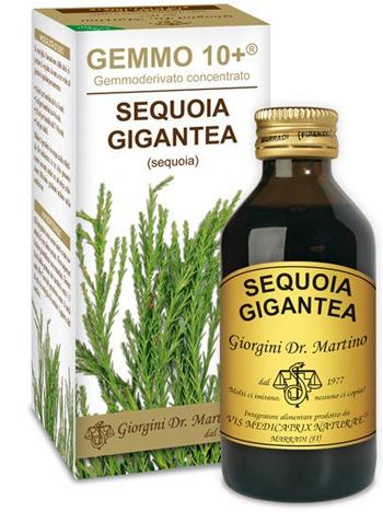 ND Sequoia 100 ml Analco Gemmo 10+