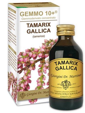 ND Tamerice 100 ml Analco GEMMO10+