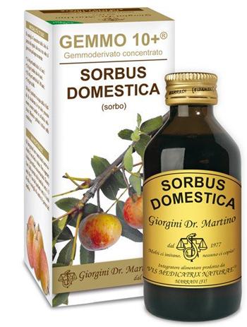 ND Sorbo 100 ml Analco Gemmo 10+