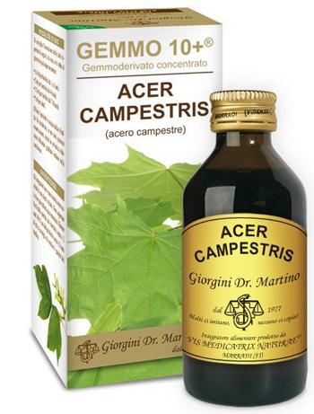 ND Acero Camp 100 ml Analco GEM10+