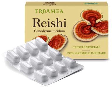 ND Reishi 24 capsule