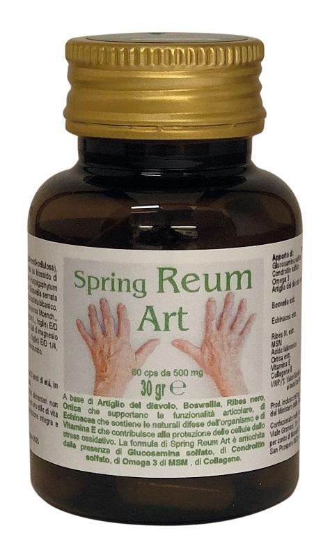 ND Spring Reum Art 60 capsule