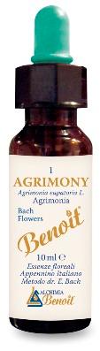 ND Benoit Fiori Di Bach Agrimony