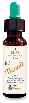 ND Benoit Fiori Di Bach Elm