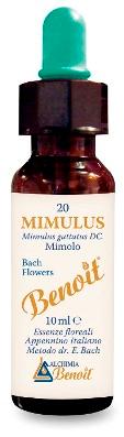 ND Benoit Fiori Di Bach Mimulus