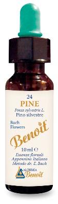 ND Benoit Fiori Di Bach Pine