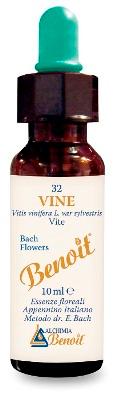 ND Benoit Fiori Di Bach Vine