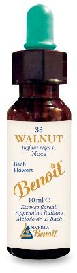 ND Benoit Fiori Di Bach Walnut