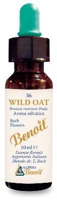 ND Benoit Fiori Di Bach Wild Oat