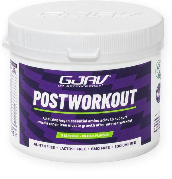 ND Gjav Postworkout Arancia 261 g