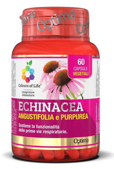 7909 ECHINACEA 60CPS COLOURS