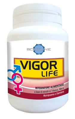 ND Vigor Life 40 capsule