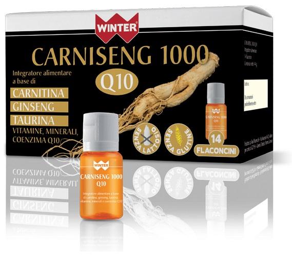 ND Winter CARNISENG1000 Q10 14 flacone
