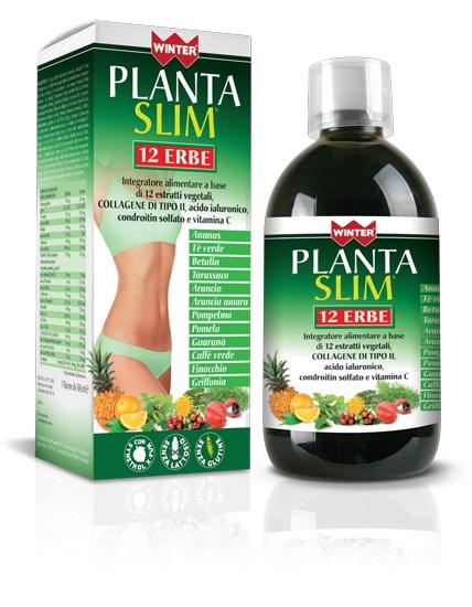 ND Winter Planta Slim 12ERBE500ML