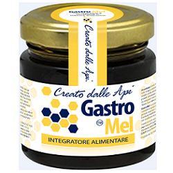 ND Gastromel 120 g