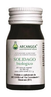 ND Solidago Bio 60 capsule