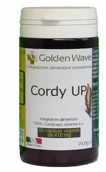 ND Cordy Up 60 capsule