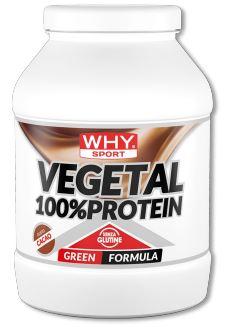 ND 100% Vegetal Protein CACAO750G