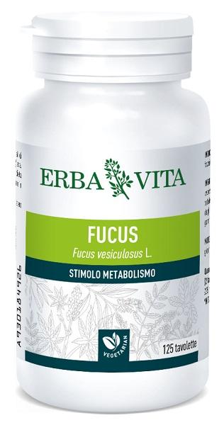 ND Fucus 125TAV