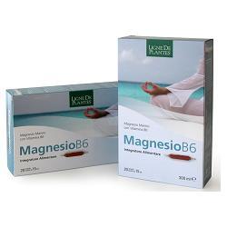 ND Magnesio B6 20AMPOLLE