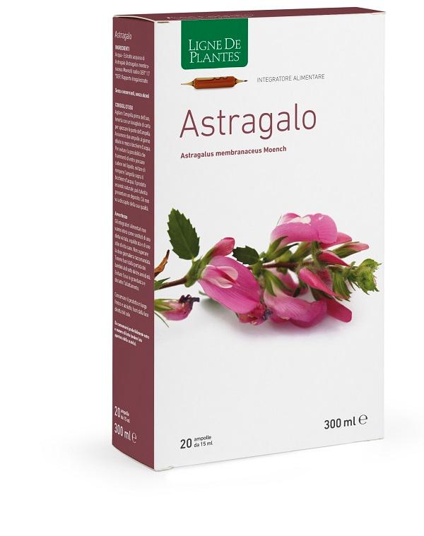 4123 Astragalo 20AMPOLLE 15 ml