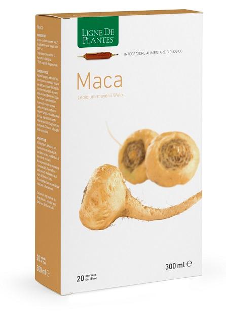 ND Maca Bio 20AMPOLLE