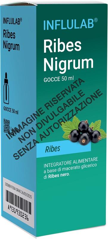 ND Ldf Ribes Nigrum mg 50 ml